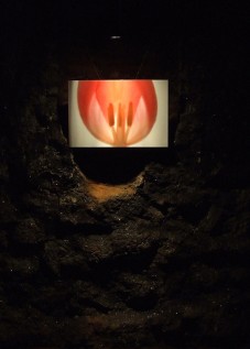 35Bożena Knecht1