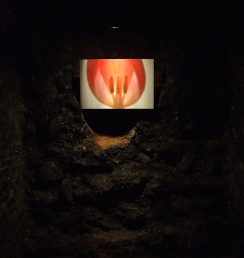 35Bożena Knecht1