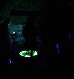 Galeria4