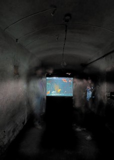 5Grupa Anonim1