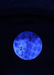 Beata Długosz
